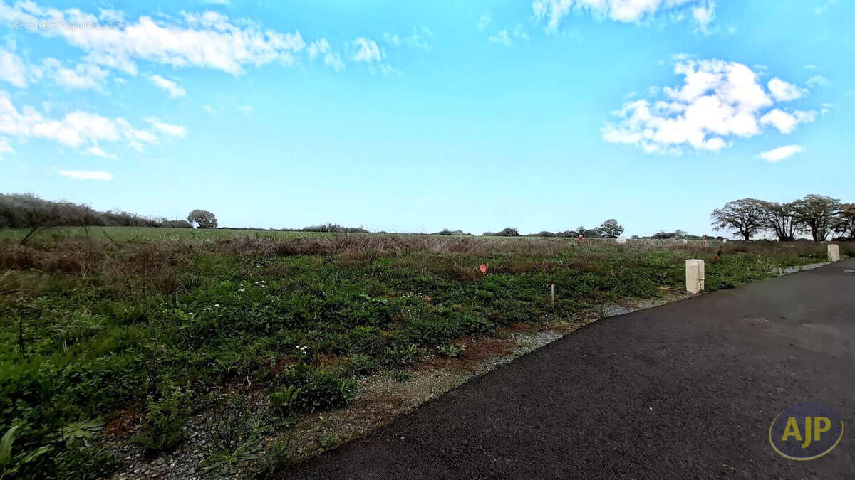 Terrain à CHATEAUBRIANT