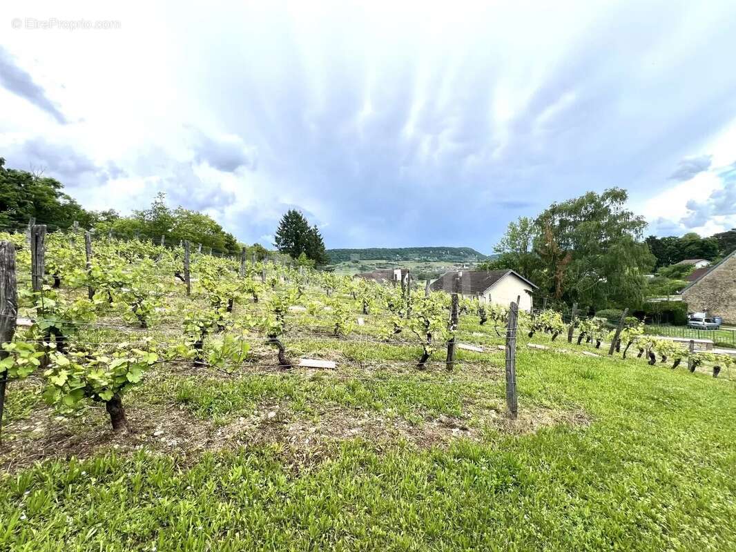 Maison à LONS-LE-SAUNIER