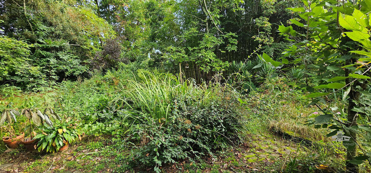 Terrain à LA CHAPELLE-SUR-ERDRE