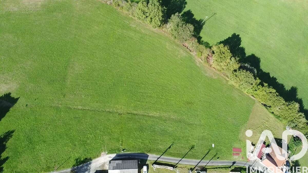 Photo 3 - Terrain à LASSEUBE