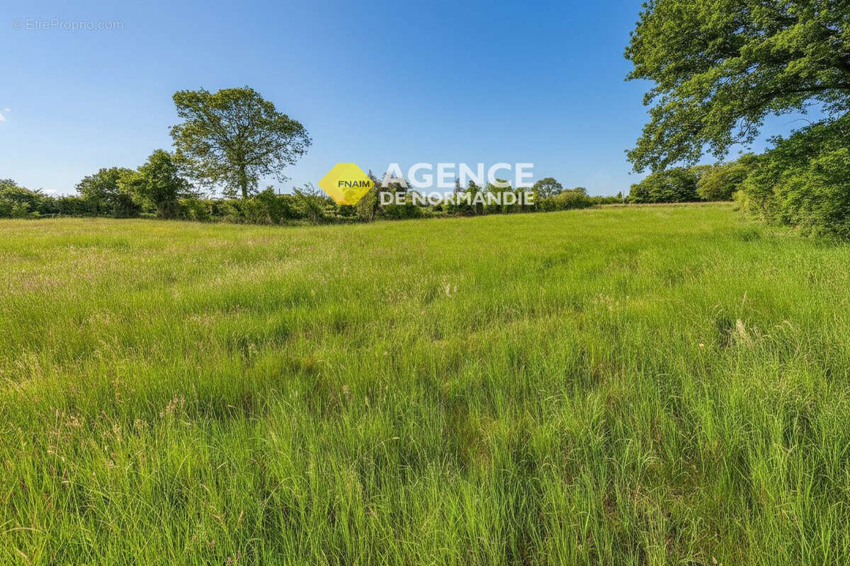 Terrain à MONTREUIL-L'ARGILLE