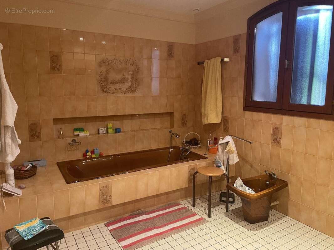 Maison 300 m² à Saint-Gaudens  - photo 8