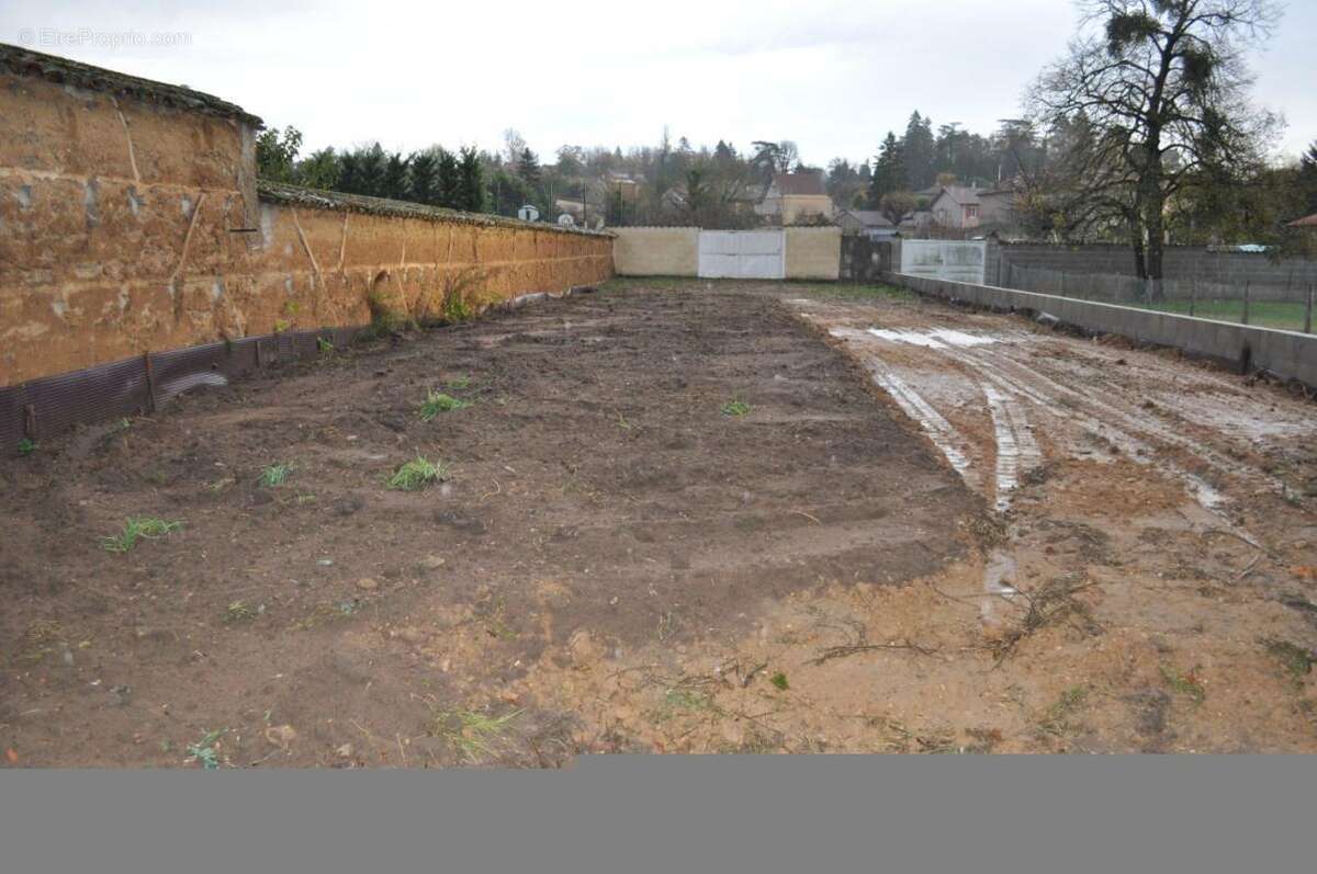 Maison à MONTMERLE-SUR-SAONE