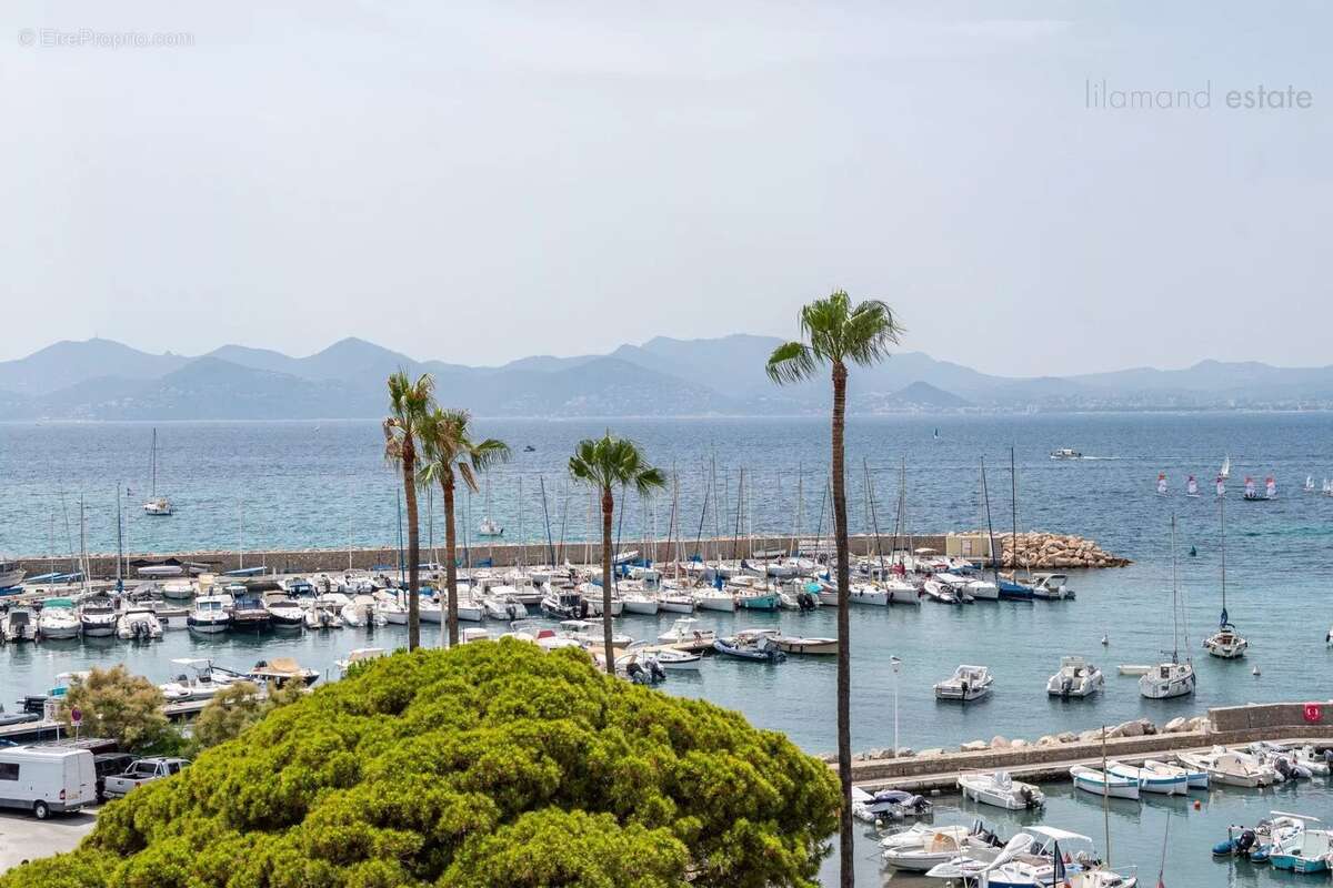 Exclusivite -pointe croisette - palm beach - toit terrasse vue mer - photo 5