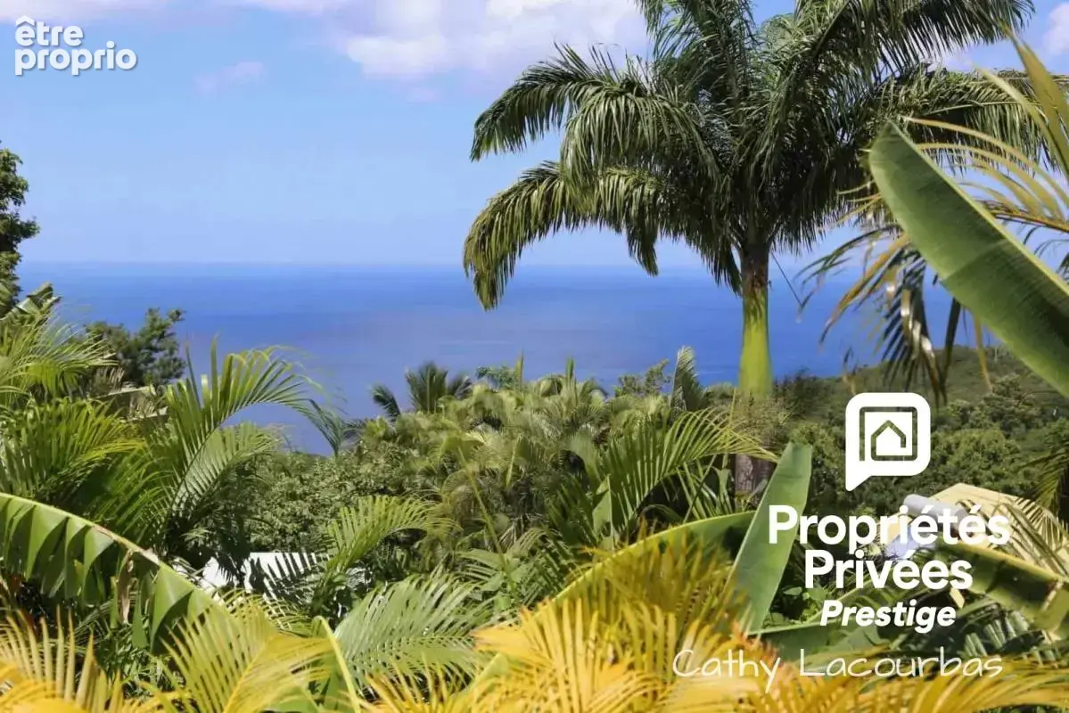 2 Villas rénovées et décorées, vue mer et piscines - Pointe Noire, Guadeloupe - photo 16