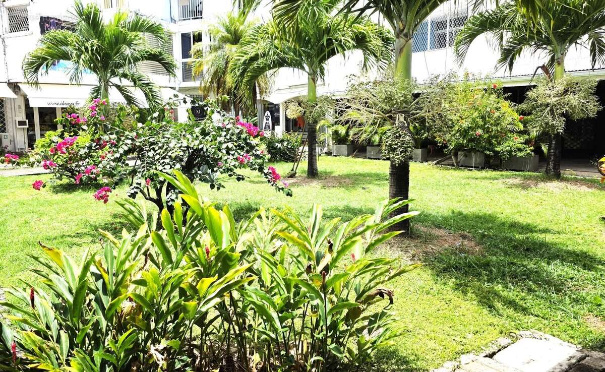 Commerce à LES TROIS-ILETS