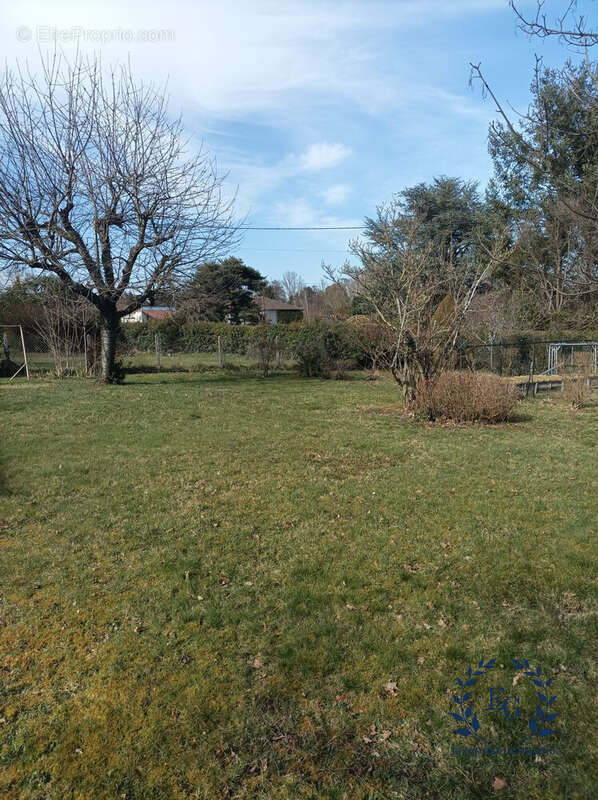 Maison à SAINT-ANDRE-D&#039;APCHON