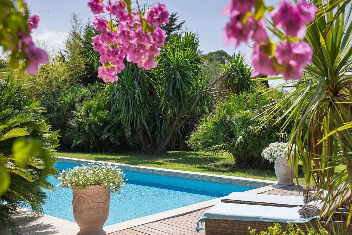 Mougins saint basile - photo 20