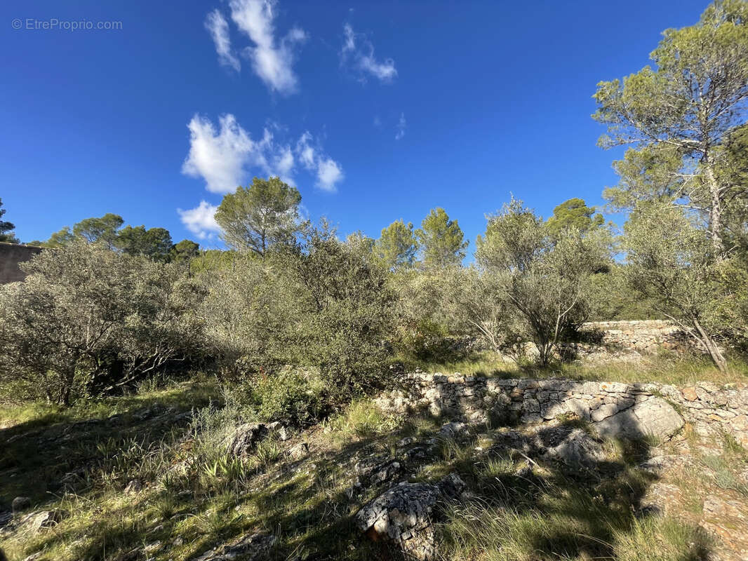 Maison à MONTFORT-SUR-ARGENS