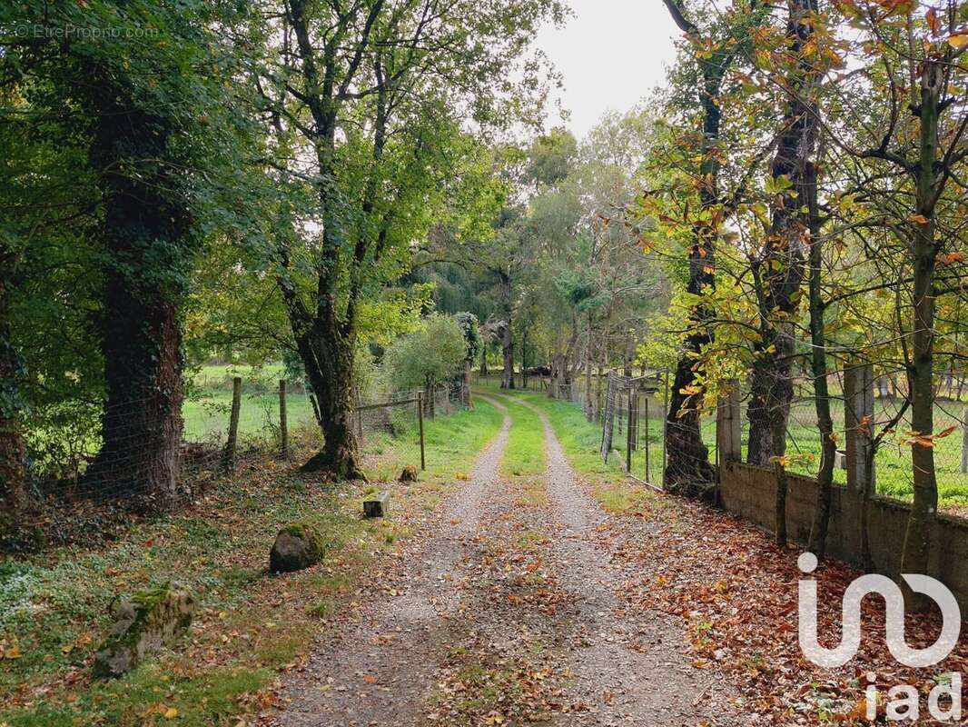 Photo 2 - Maison à DINGE