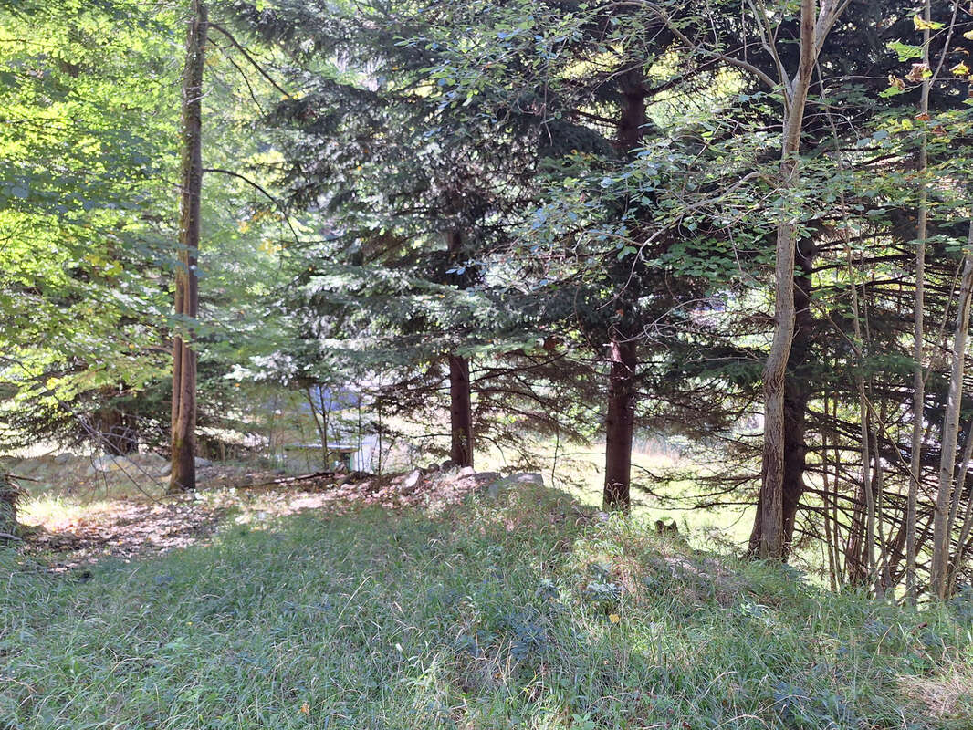 Terrain à ESCOULOUBRE