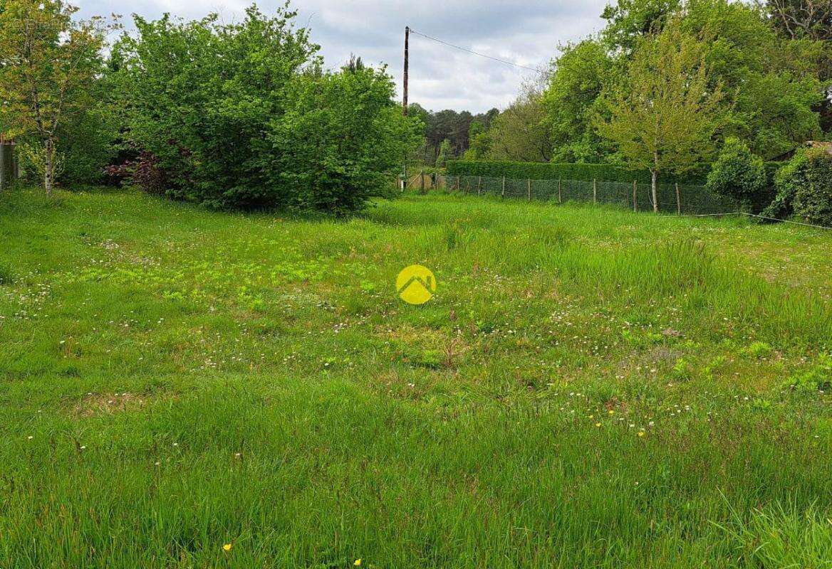 Un terrain a la campagne - photo 2
