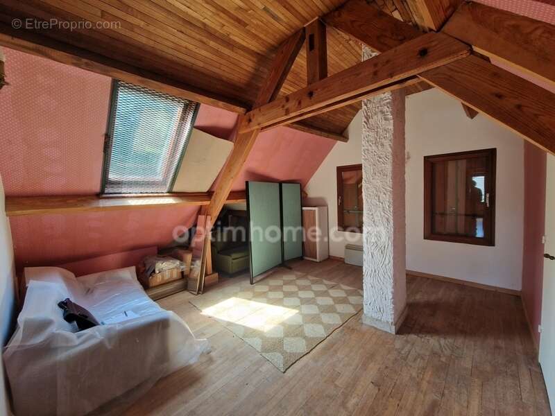 Maison avec grand terrain arboré à ARDON (45) - photo 3