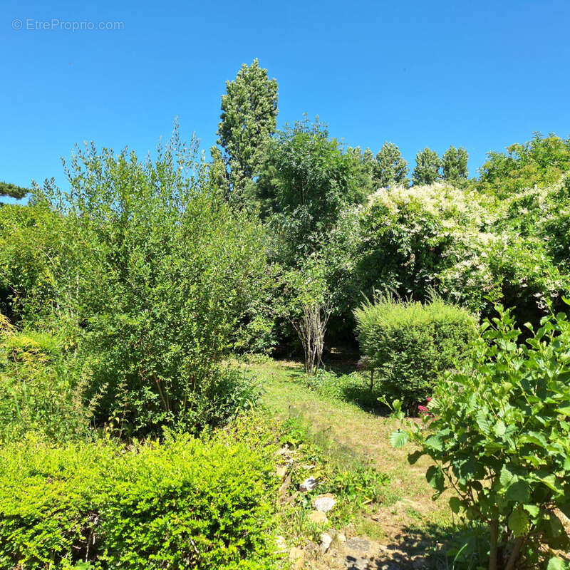 Maison à MARLES-EN-BRIE