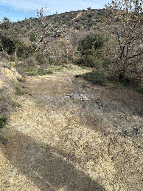 Terrain agricole 6140 m2 - photo 7