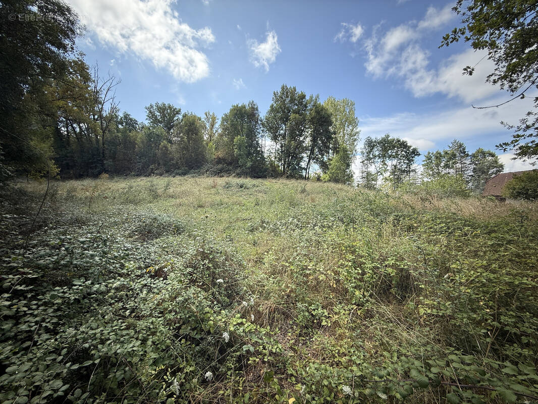Terrain à VOUTEZAC