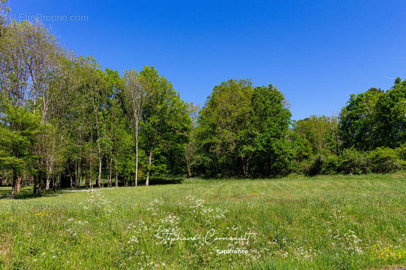 Terrain à SAINT-VINCENT-DE-CONNEZAC