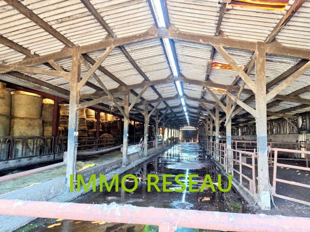 Commerce 5500 m² à Saint-Hilaire-De-Riez  - photo 2