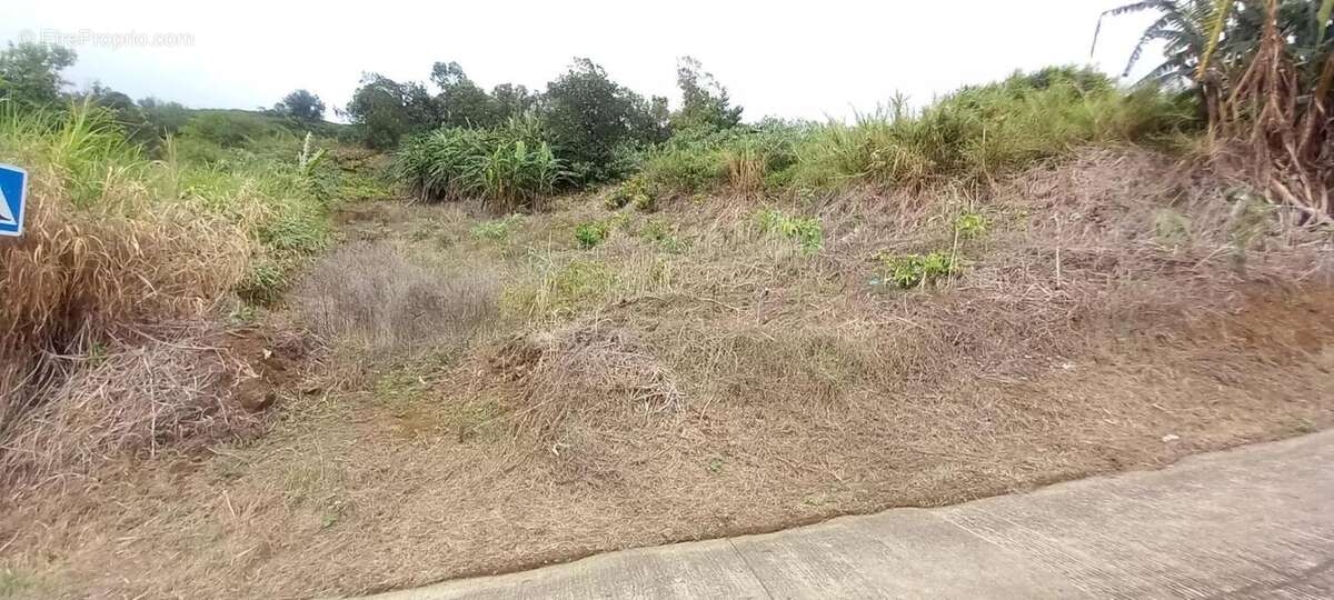 Terrain à SAINT-LEU