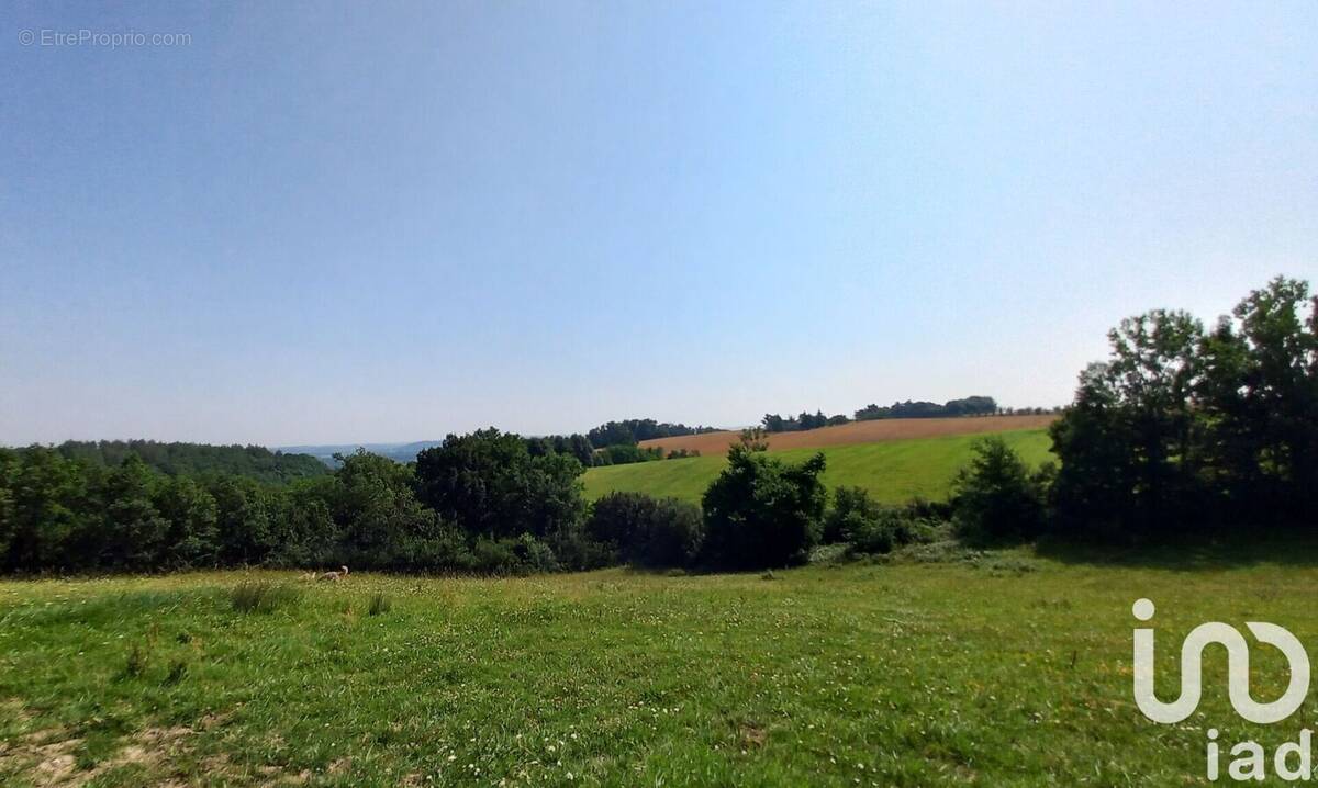 Photo 1 - Maison à AUVILLAR