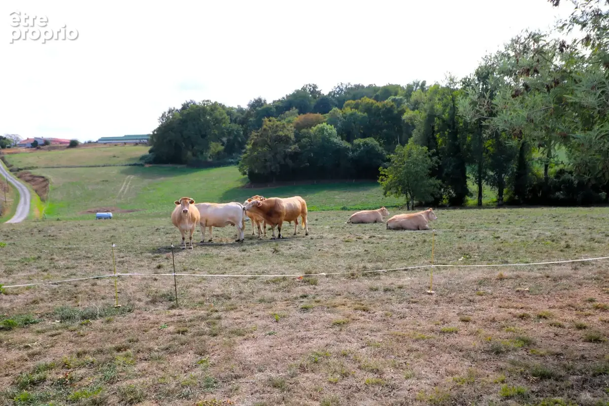 Charmante Ferme rénovée à haute performance énergétique, terrain 10628m2, piscine, dépendances - photo 37