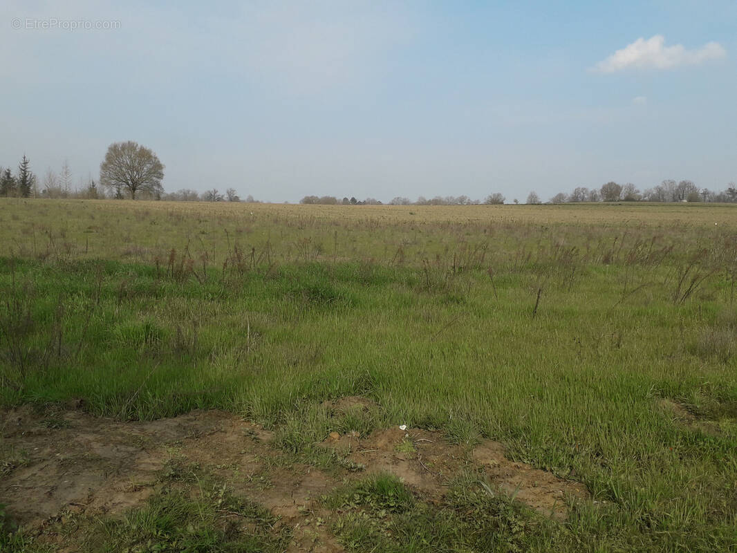 Terrain à HAGETMAU