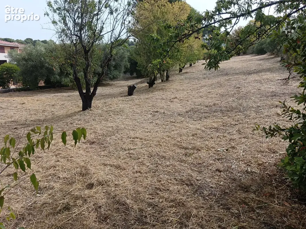 Allauch TERRAIN  2 constructions - photo 2