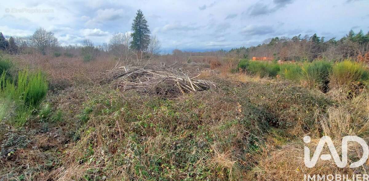 Photo 6 - Terrain à CHIRAC-BELLEVUE