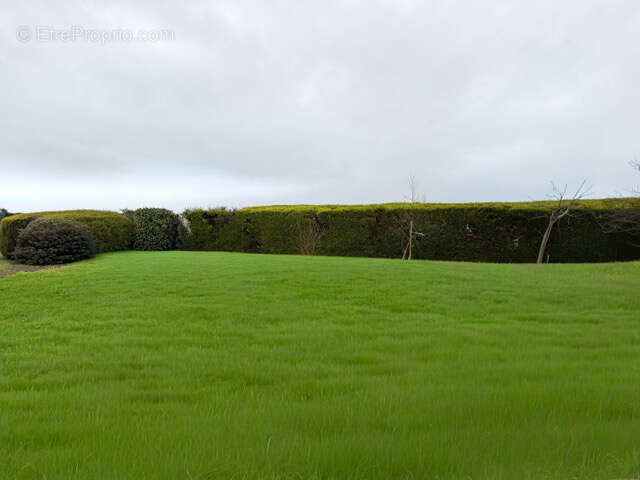Terrain à SAINTE-FOY