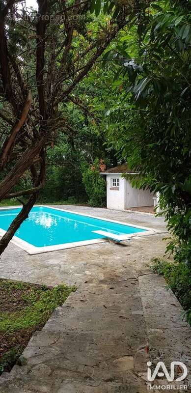 Maison 171 m² à Trigueres  - photo 8