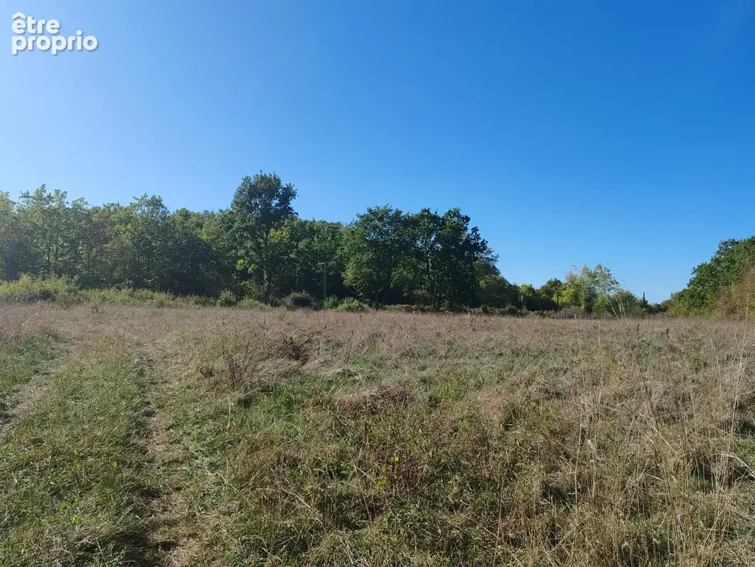 Terrain de loisirs - photo 4