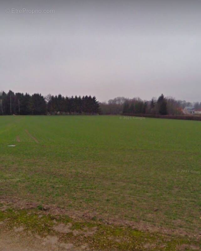 Terrain à BOURGOGNE