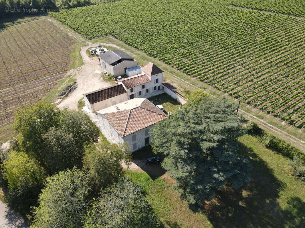 Vignoble AOC Armagnac et Côtes de Gascogne - photo 2