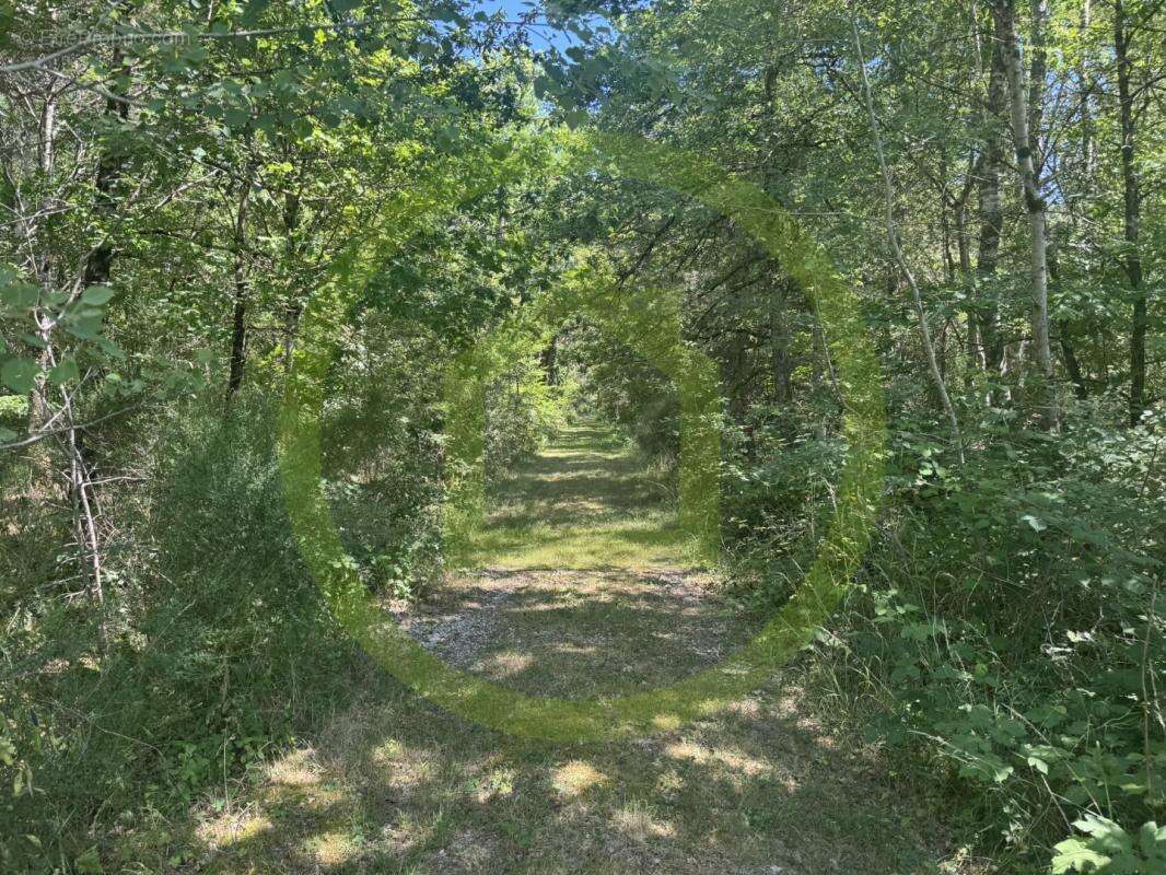 Maison à LA FERTE-SAINT-AUBIN