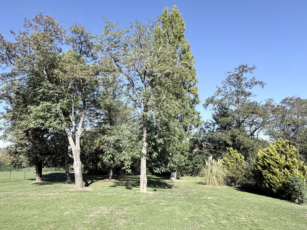 Maison à GONTAUD-DE-NOGARET