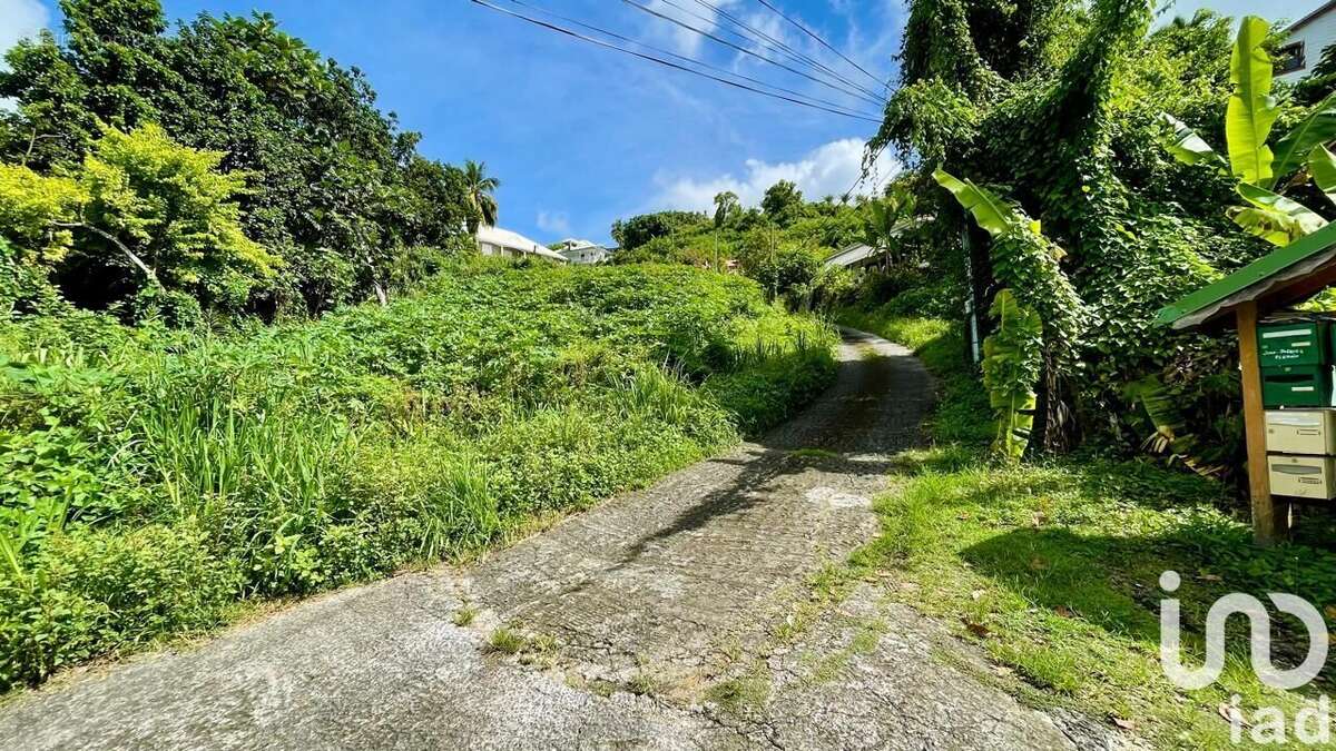 Photo 3 - Terrain à LE GOSIER