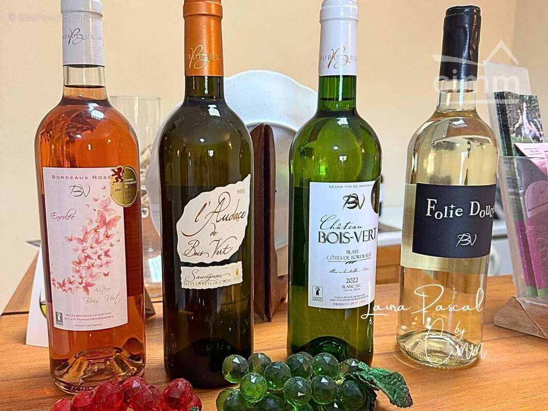 Maison à PLEINE-SELVE