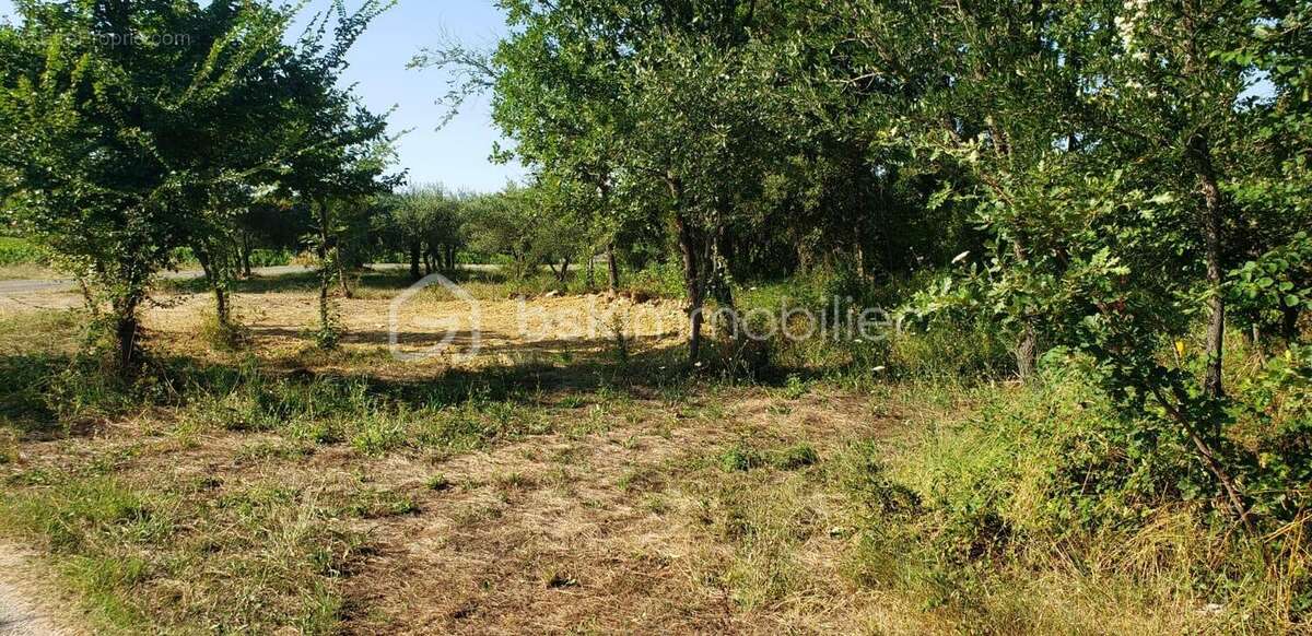 À vendre – Terrain constructible 537 m² – Martignargues - photo 4