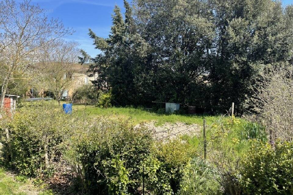 Terrain à AVIGNONET-LAURAGAIS