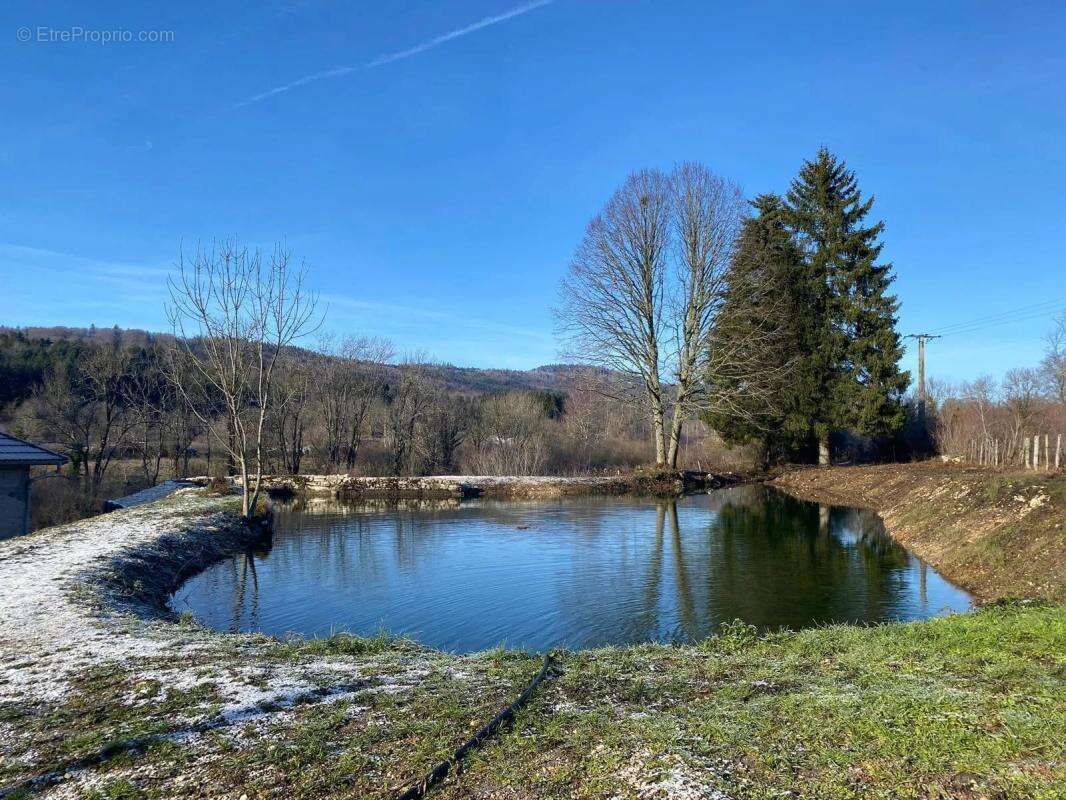 Maison à HAUTEVILLE-LOMPNES