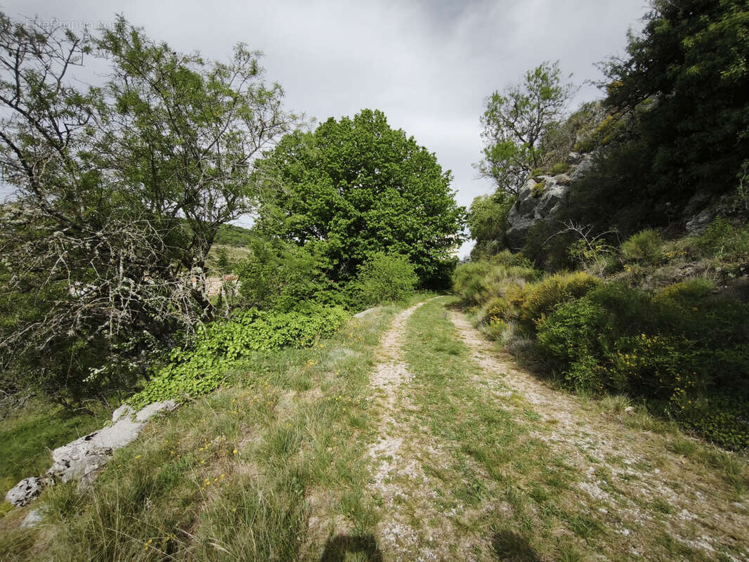 Terrain à COMPS-SUR-ARTUBY