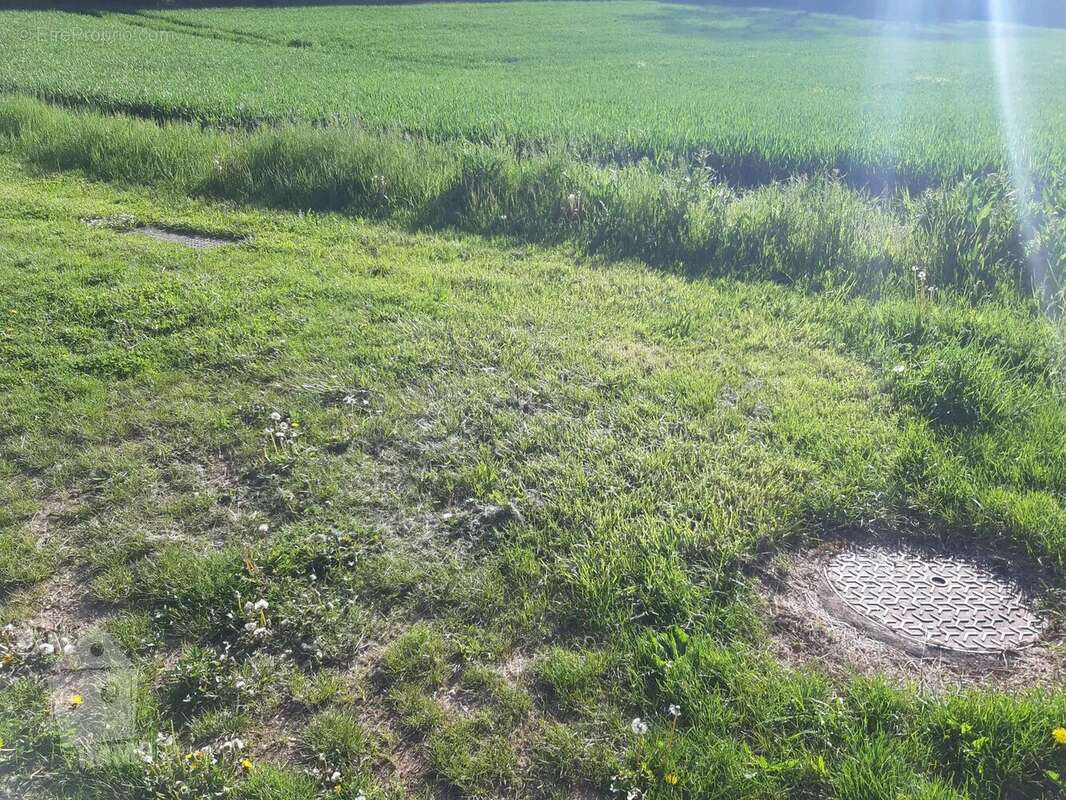 Terrain à GEZONCOURT