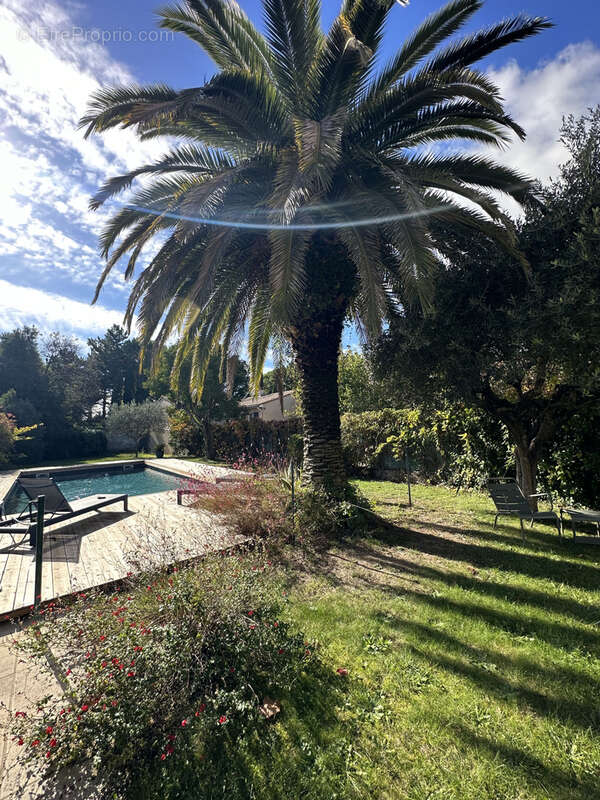 Maison à PIERRELATTE