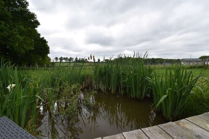 Maison à SAINT-LEGER-MAGNAZEIX