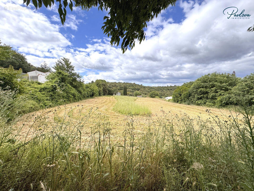 Terrain à LE POUGET