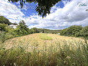 Terrain à LE POUGET