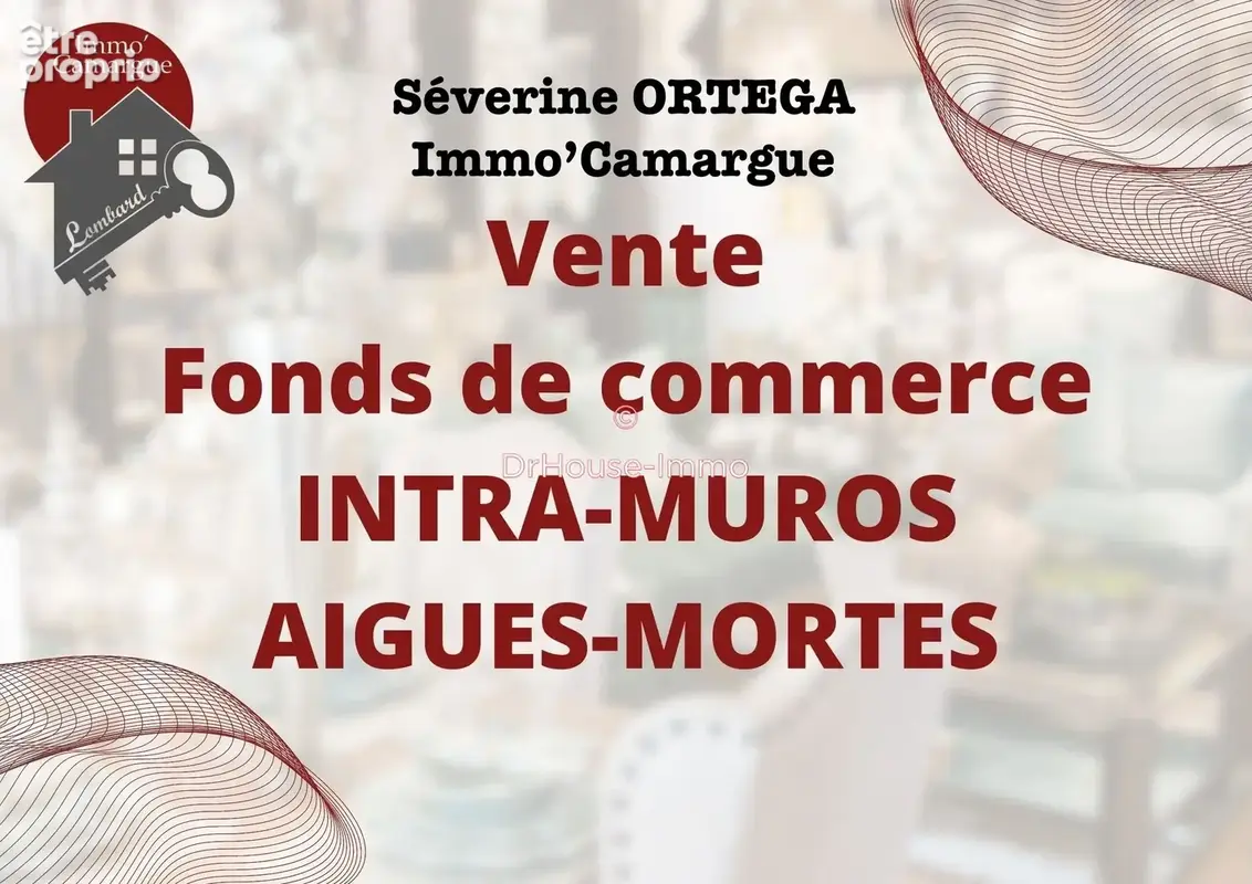 Commerce 135 m² à vendre à Aigues-Mortes (30220) - photo 3