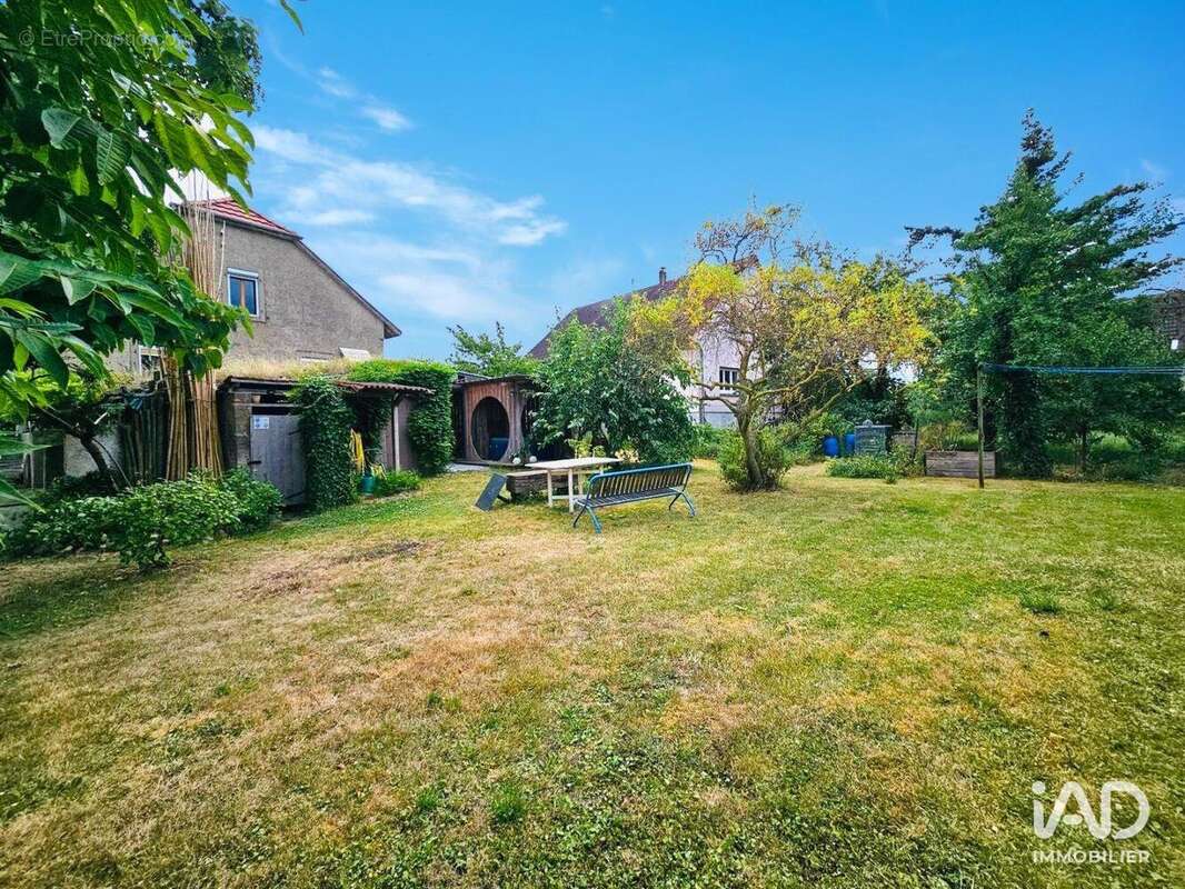 Photo 7 - Maison à ALGOLSHEIM