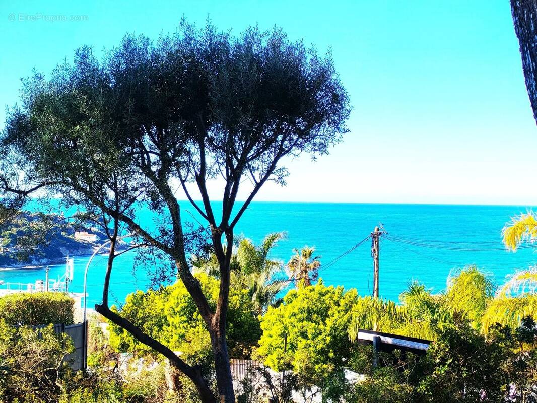 Appartement à SANARY-SUR-MER