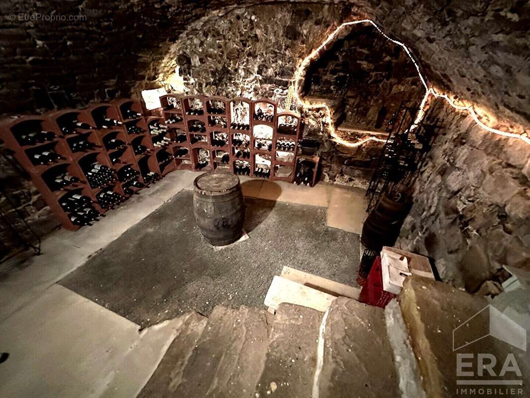 Maison à VILLEBLEVIN